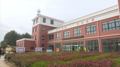 我市3万多名农村中小学生享受 营养午餐