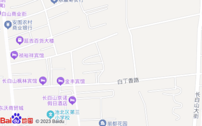 延边朝鲜族自治州安图县松山路小神童幼儿园南侧约220米
