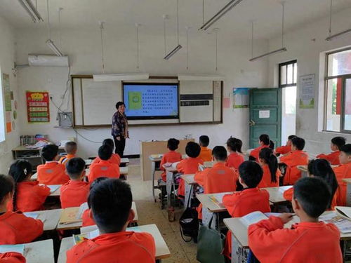 郓城县黄泥冈镇西杨小学 课堂教学展风采,听课评课促成长