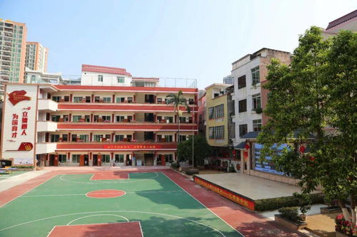这几所学校正式启用新校名 别把你家孩子的学校搞错了