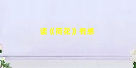 读《荷花》有感