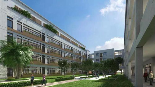 重磅 阳江学园迎实质进展 泉州实小洛江第二校区动工在即